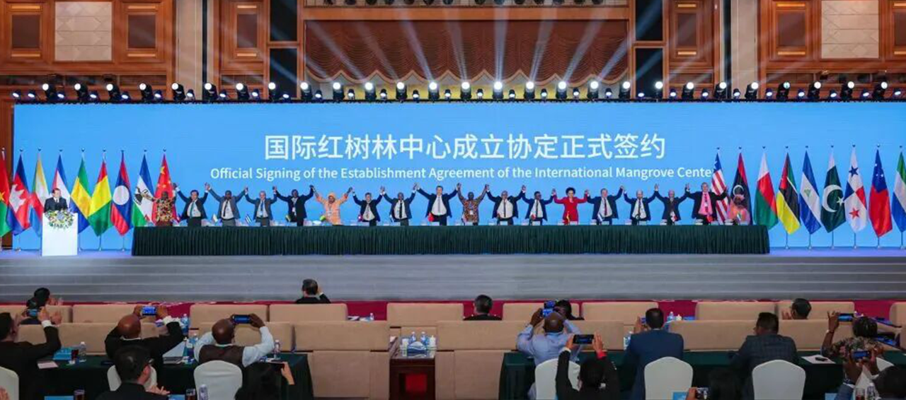 اجتماع أبيك (APEC) للغابات سينعقد في الفترة من 27 إلى 28 يوليو